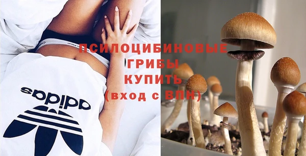 мескалин Алексин