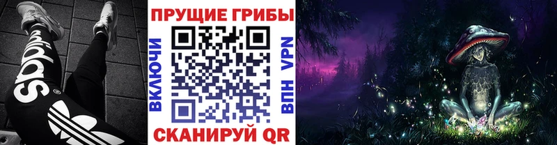 Галлюциногенные грибы Psilocybe Рошаль